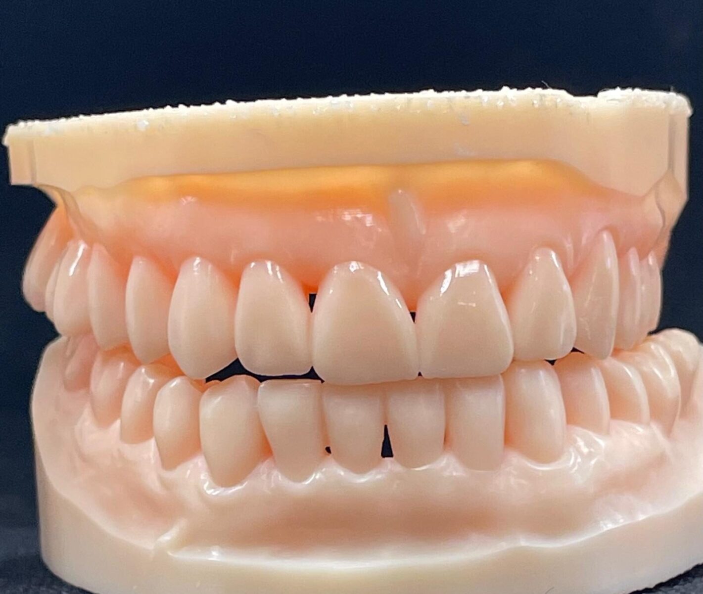 WhatsApp Image 2026-02-13 at 12.19.18 (1)