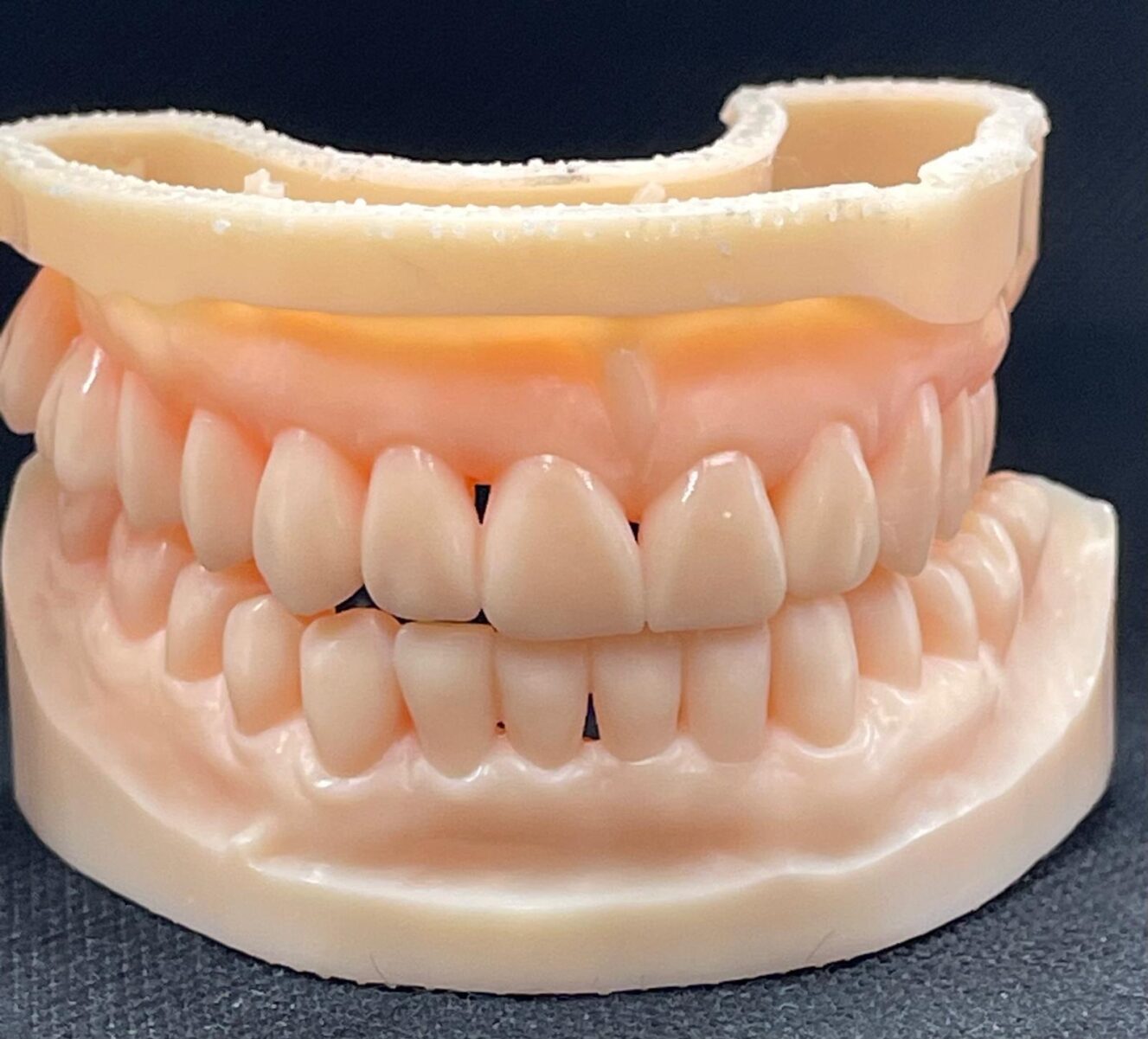 WhatsApp Image 2026-02-13 at 12.19.18