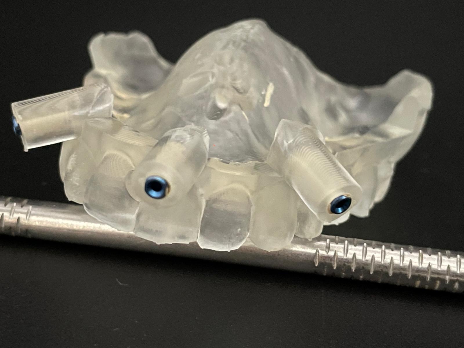 WhatsApp Image 2026-03-06 at 13.56.00 (1)